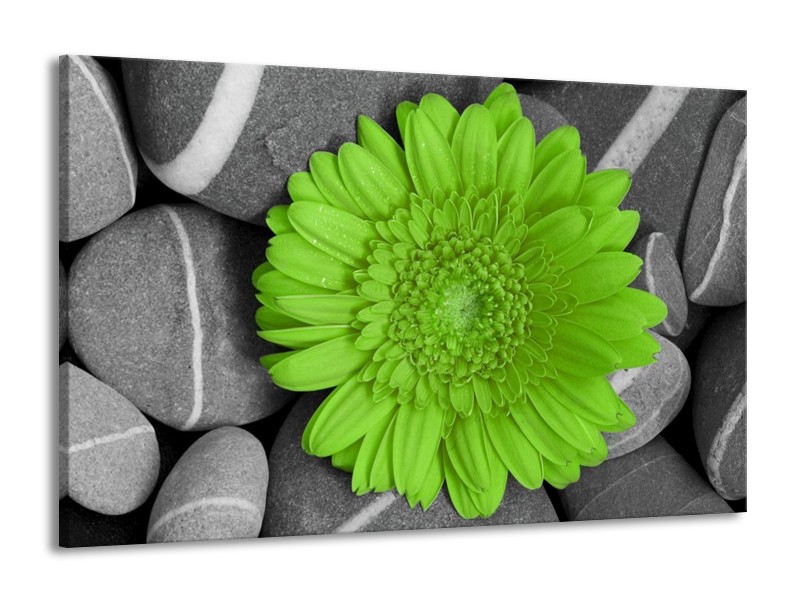 Canvas schilderij Bloem | Groen, Grijs | 140x90cm 1Luik