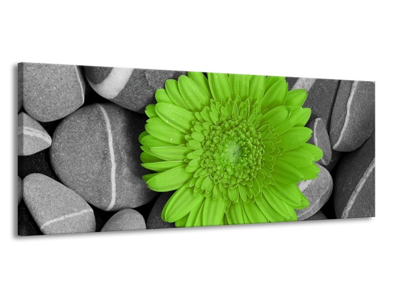 Canvas schilderij Bloem | Groen, Grijs | 145x58cm 1Luik