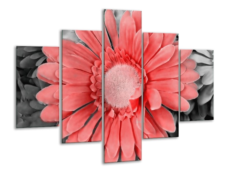 Canvas schilderij Gerbera | Rood, Zwart | 100x70cm 5Luik