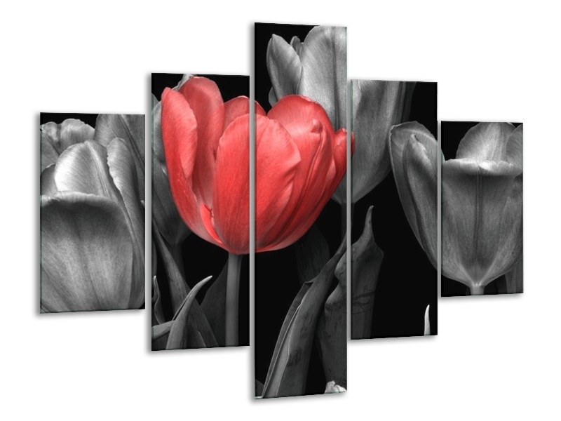 Canvas schilderij Tulp | Rood, Grijs, Zwart | 100x70cm 5Luik