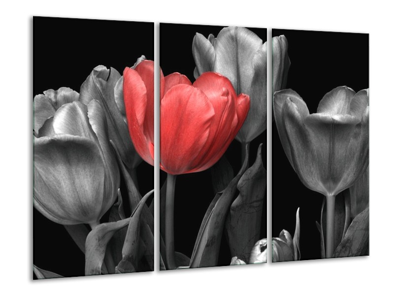Canvas schilderij Tulp | Rood, Grijs, Zwart | 120x80cm 3Luik
