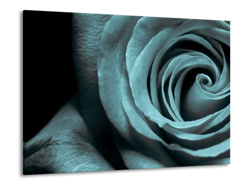 Canvas schilderij Roos | Grijs, Zwart | 100x70cm 1Luik