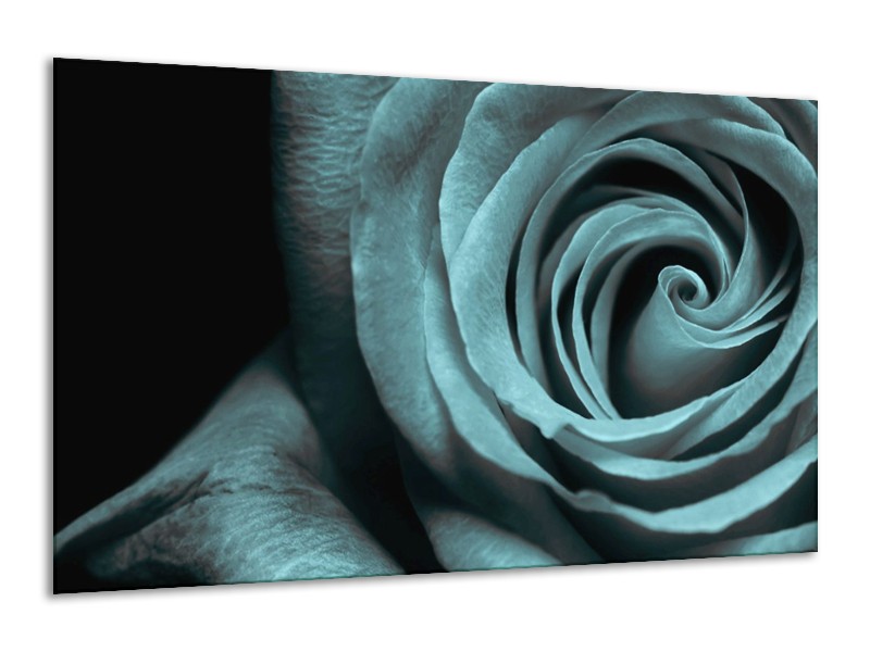 Canvas schilderij Roos | Grijs, Zwart | 120x70cm 1Luik
