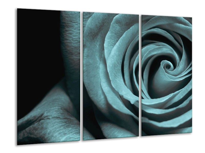 Canvas schilderij Roos | Grijs, Zwart | 120x80cm 3Luik
