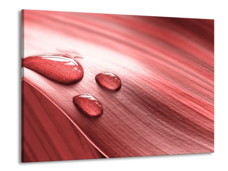 Canvas schilderij Druppel | Roze, Wit | 100x70cm 1Luik