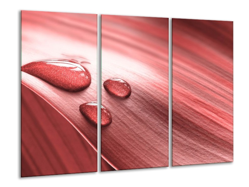 Canvas schilderij Druppel | Roze, Wit | 120x80cm 3Luik