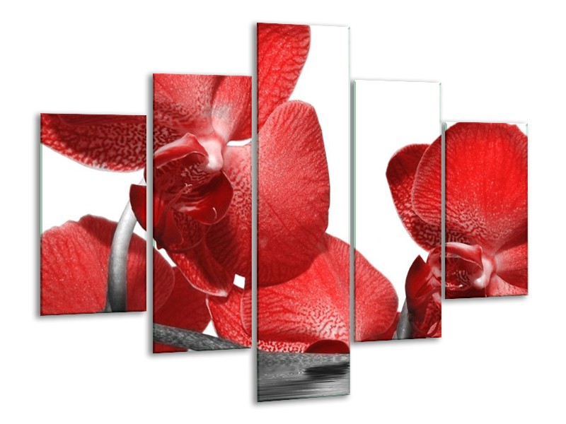 Canvas schilderij Orchidee | Rood, Wit | 100x70cm 5Luik