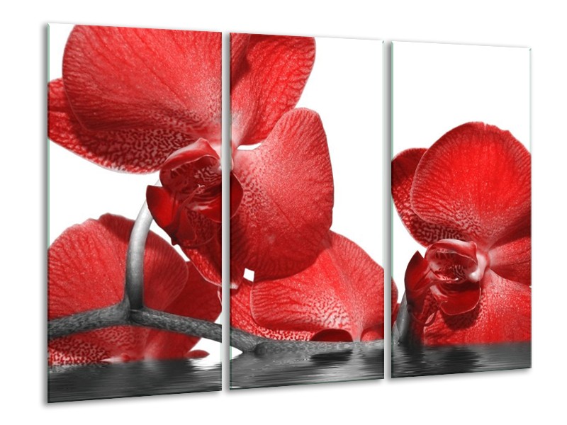 Canvas schilderij Orchidee | Rood, Wit | 120x80cm 3Luik