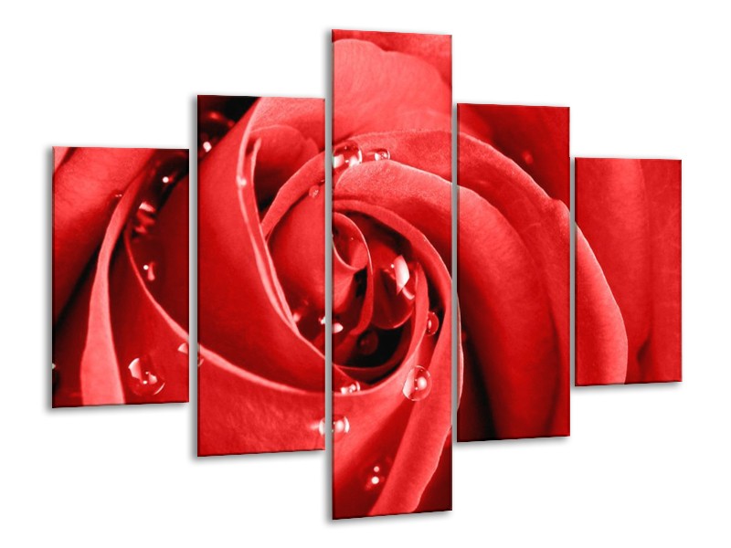 Canvas schilderij Roos | Rood, Wit | 100x70cm 5Luik