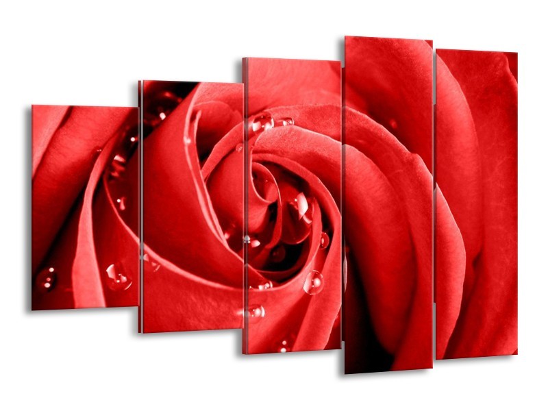 Canvas schilderij Roos | Rood, Wit | 150x100cm 5Luik