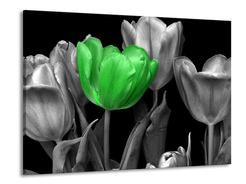 Canvas schilderij Tulp | Groen, Grijs, Zwart | 100x70cm 1Luik