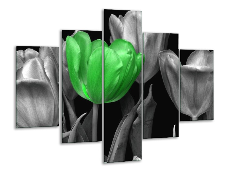 Canvas schilderij Tulp | Groen, Grijs, Zwart | 100x70cm 5Luik