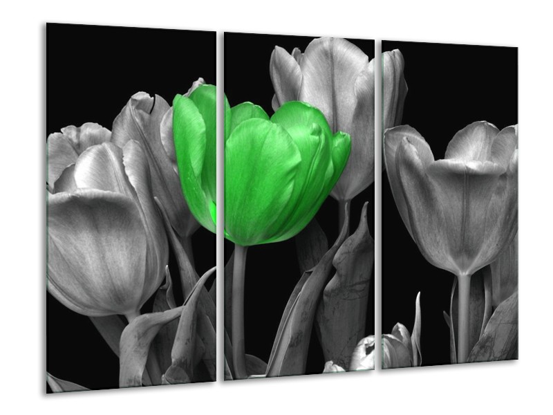 Canvas schilderij Tulp | Groen, Grijs, Zwart | 120x80cm 3Luik