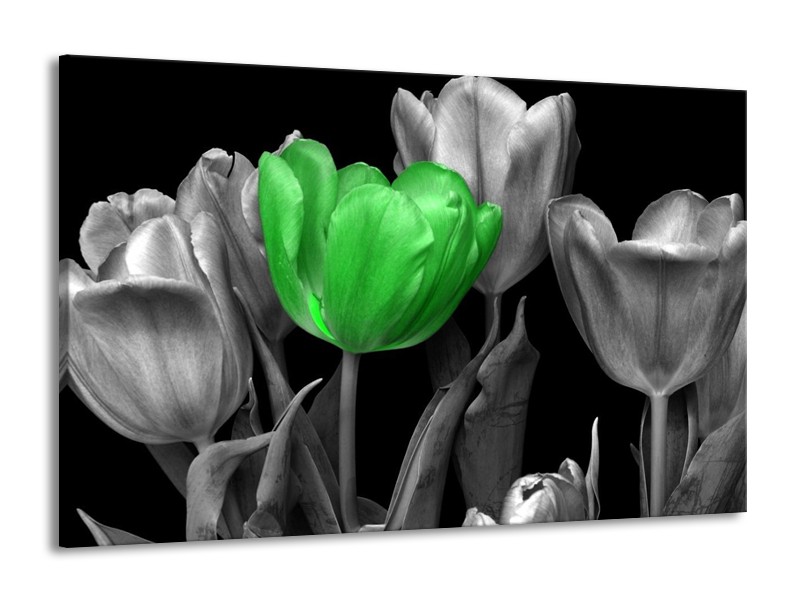 Canvas schilderij Tulp | Groen, Grijs, Zwart | 140x90cm 1Luik
