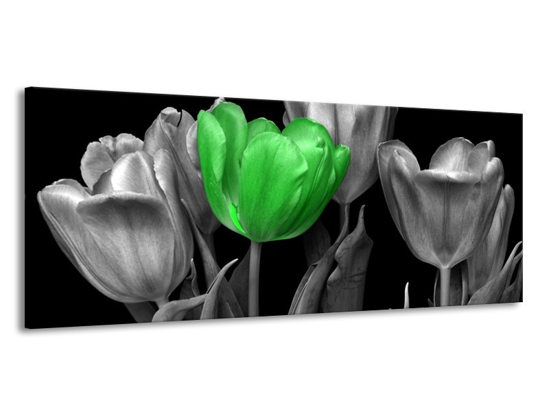 Canvas schilderij Tulp | Groen, Grijs, Zwart | 145x58cm 1Luik