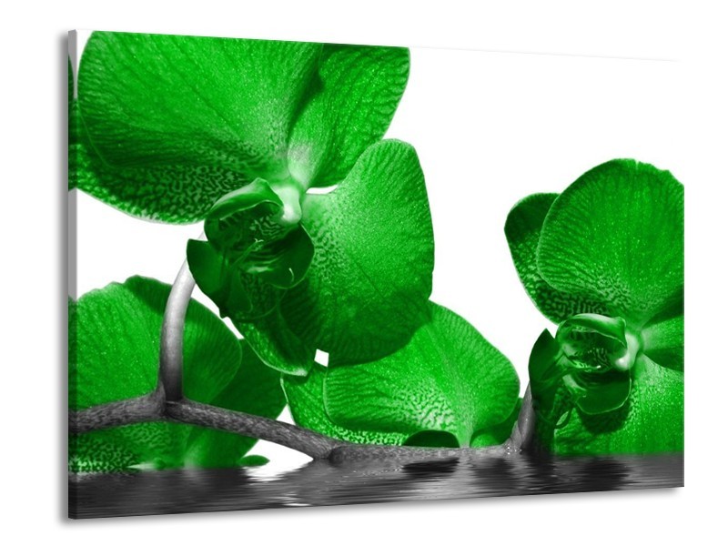 Canvas schilderij Orchidee | Groen, Wit, Grijs | 100x70cm 1Luik