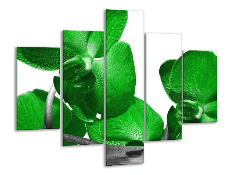 Canvas schilderij Orchidee | Groen, Wit, Grijs | 100x70cm 5Luik