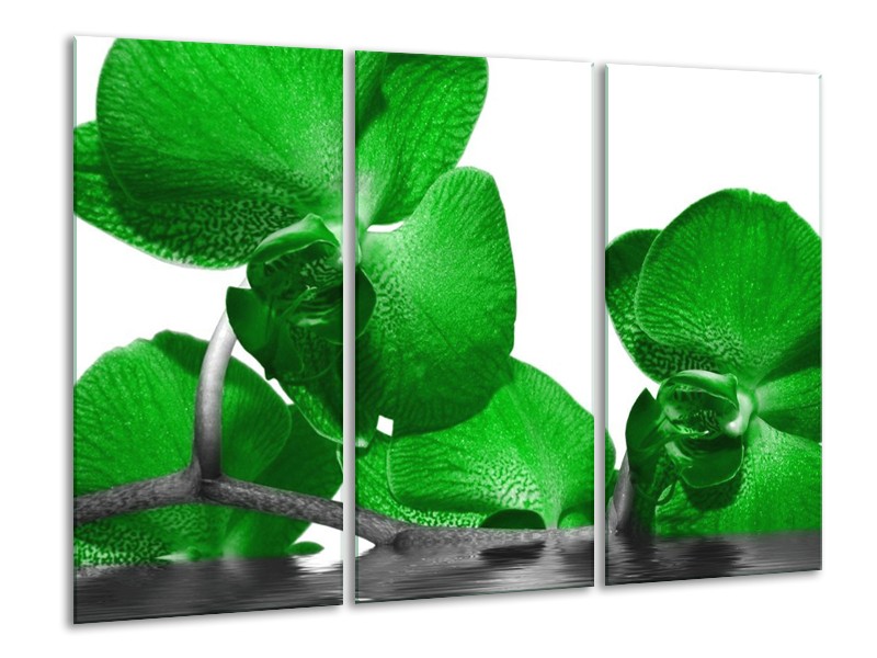 Canvas schilderij Orchidee | Groen, Wit, Grijs | 120x80cm 3Luik