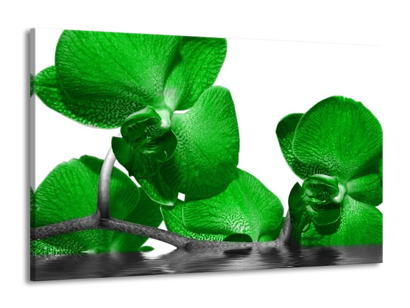 Canvas schilderij Orchidee | Groen, Wit, Grijs | 140x90cm 1Luik