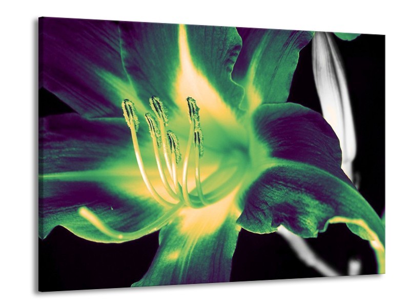 Canvas schilderij Bloem | Zwart, Groen, Grijs | 100x70cm 1Luik
