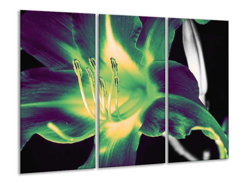 Canvas schilderij Bloem | Zwart, Groen, Grijs | 120x80cm 3Luik