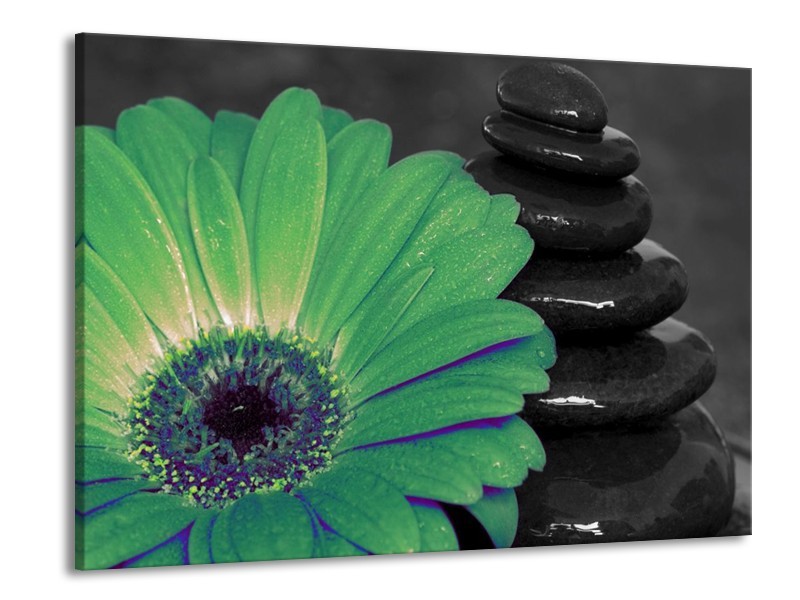 Canvas schilderij Bloem | Grijs, Groen | 100x70cm 1Luik