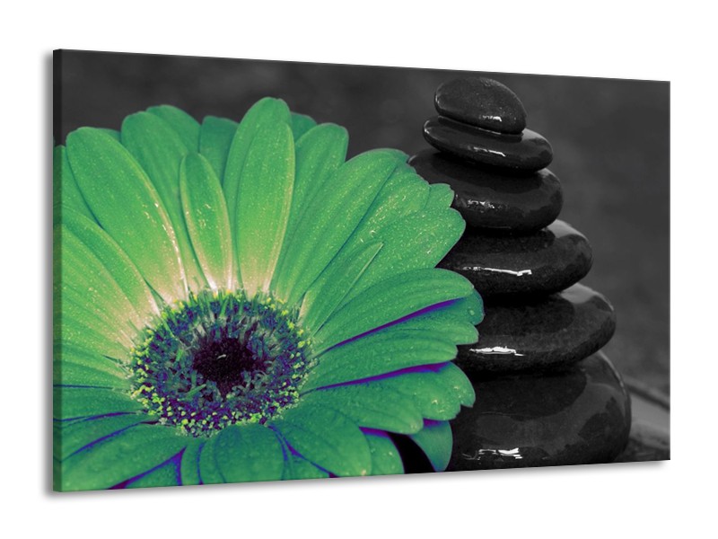 Canvas schilderij Bloem | Grijs, Groen | 140x90cm 1Luik