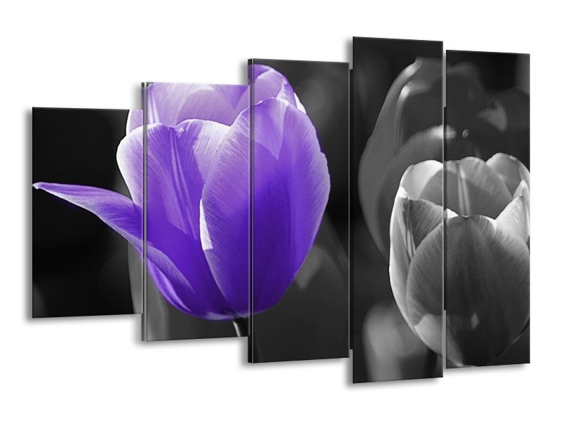Canvas schilderij Tulp | Paars, Grijs, Zwart | 150x100cm 5Luik