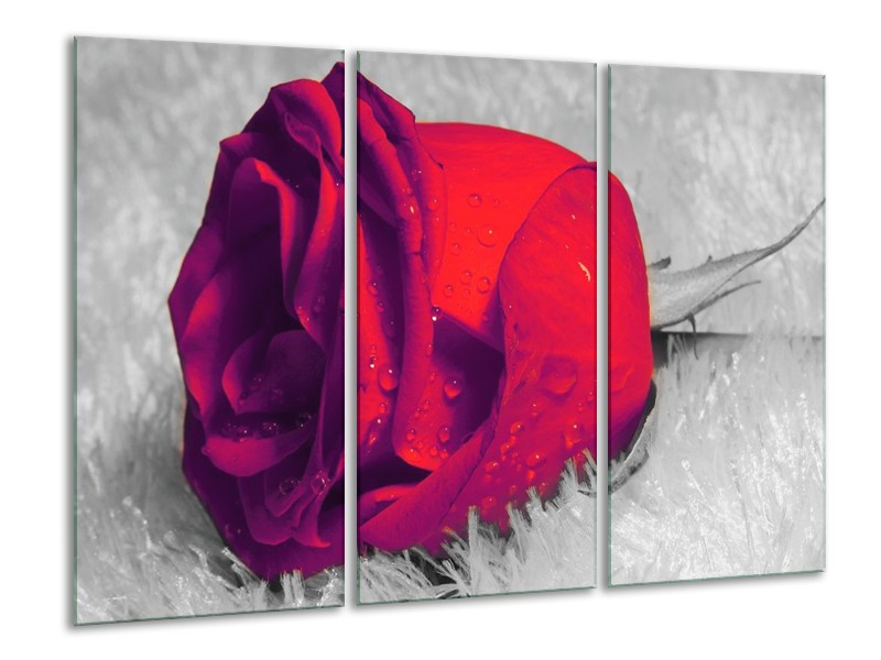 Canvas schilderij Roos | Rood, Grijs | 120x80cm 3Luik