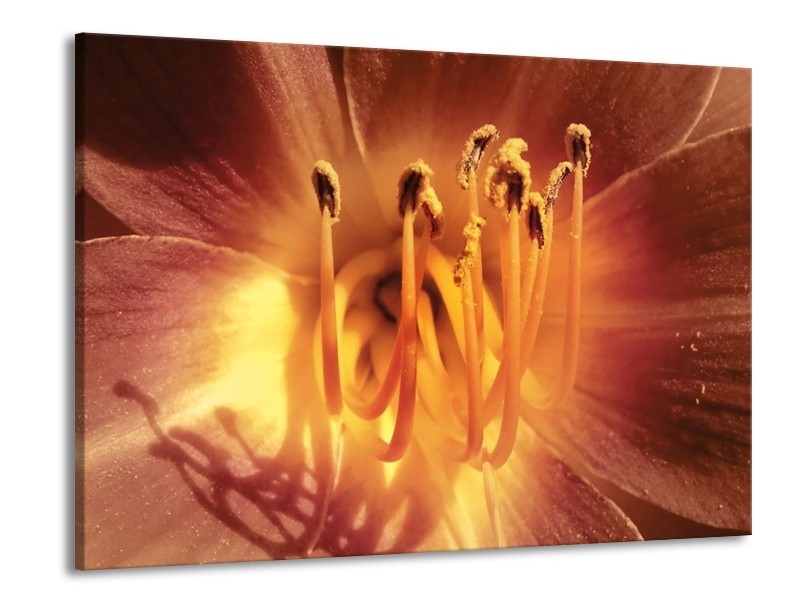 Canvas schilderij Bloem | Geel, Oranje | 100x70cm 1Luik