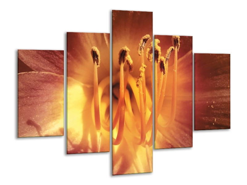 Canvas schilderij Bloem | Geel, Oranje | 100x70cm 5Luik