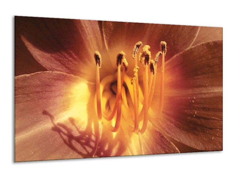 Canvas schilderij Bloem | Geel, Oranje | 120x70cm 1Luik