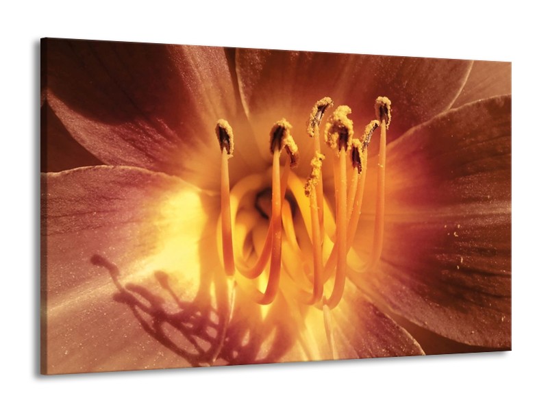 Canvas schilderij Bloem | Geel, Oranje | 140x90cm 1Luik