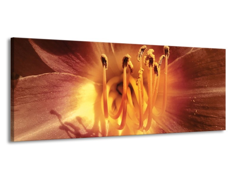 Canvas schilderij Bloem | Geel, Oranje | 145x58cm 1Luik