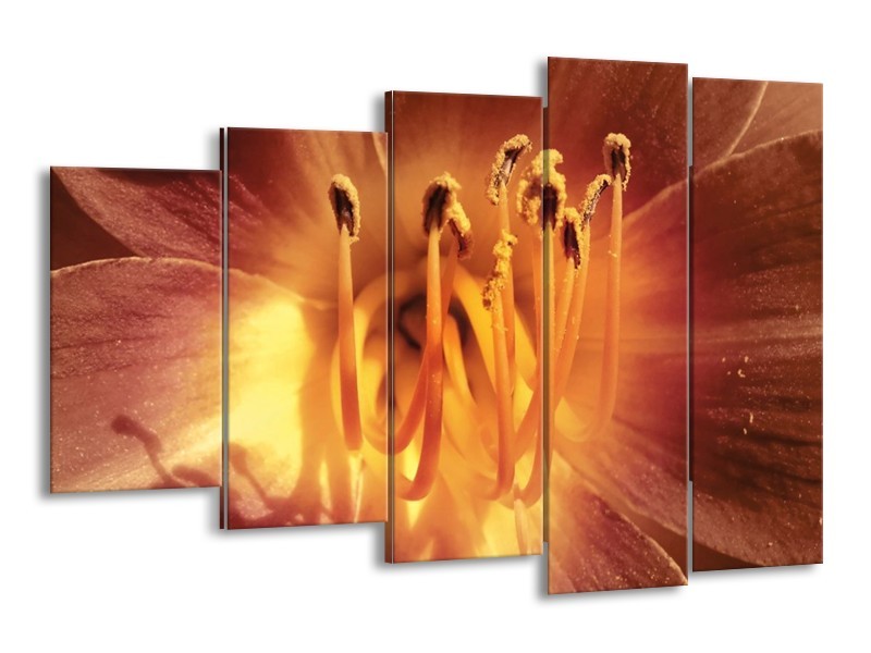 Canvas schilderij Bloem | Geel, Oranje | 150x100cm 5Luik