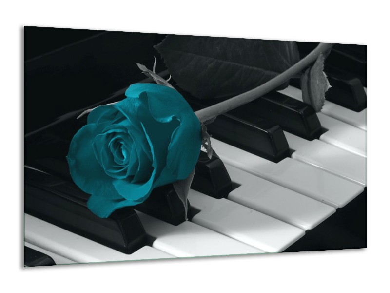 Glas schilderij Roos | Blauw, Zwart, Wit | 120x70cm 1Luik