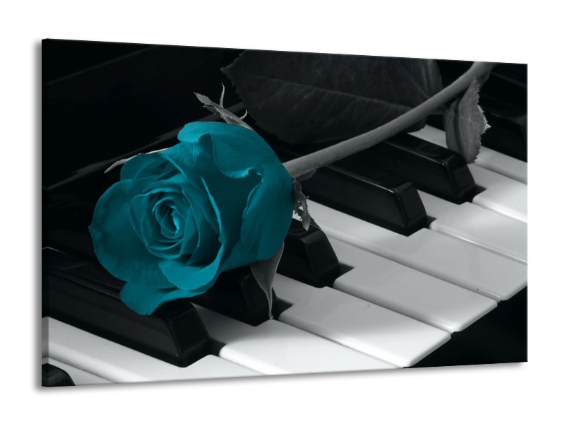 Glas schilderij Roos | Blauw, Zwart, Wit | 140x90cm 1Luik