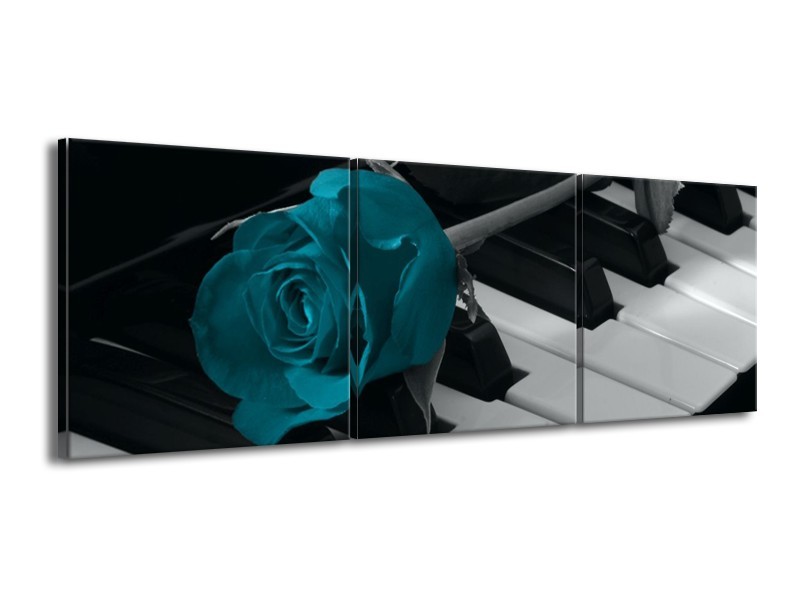 Glas schilderij Roos | Blauw, Zwart, Wit | 150x50cm 3Luik