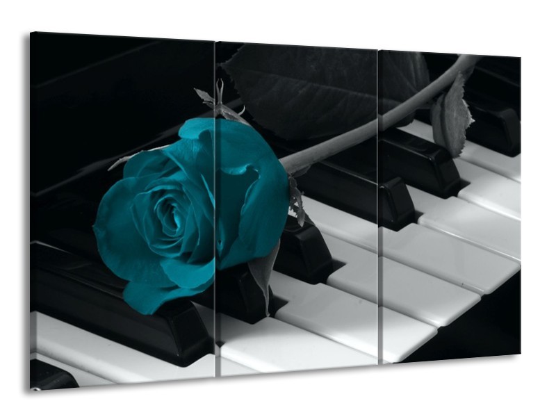 Glas schilderij Roos | Blauw, Zwart, Wit | 165x100cm 3Luik