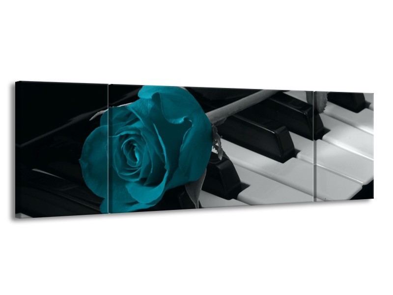 Glas schilderij Roos | Blauw, Zwart, Wit | 170x50cm 3Luik