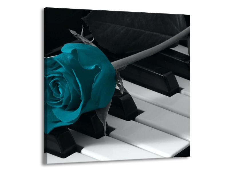 Glas schilderij Roos | Blauw, Zwart, Wit | 70x70cm 1Luik