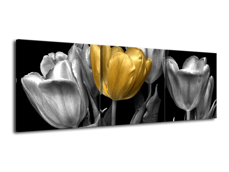 Glas schilderij Tulp | Goud, Zilver, Grijs | 120x40cm 3Luik