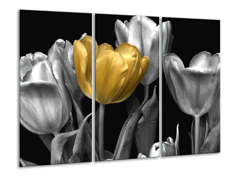 Canvas schilderij Tulp | Goud, Zilver, Grijs | 120x80cm 3Luik