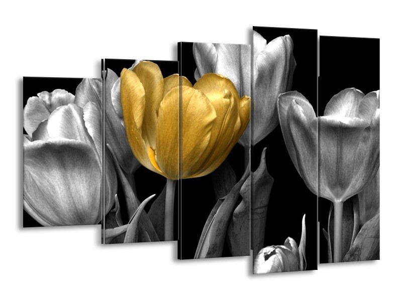 Canvas schilderij Tulp | Goud, Zilver, Grijs | 150x100cm 5Luik
