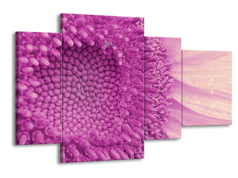 Canvas schilderij Bloem | Paars, Wit | 120x75cm 4Luik