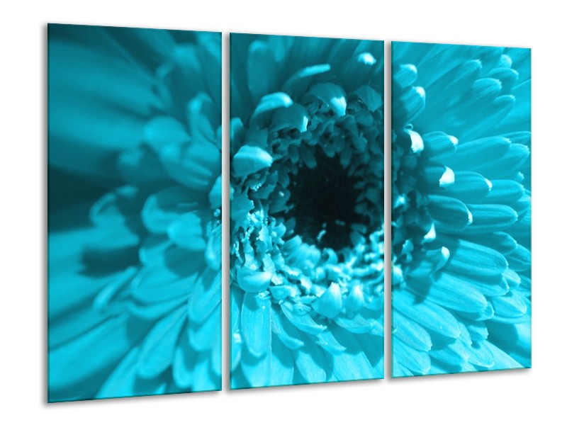 Canvas schilderij Gerbera | Blauw, Zwart, Wit | 120x80cm 3Luik