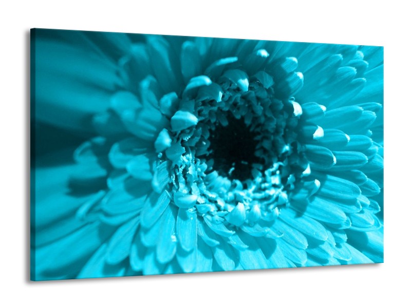 Canvas schilderij Gerbera | Blauw, Zwart, Wit | 140x90cm 1Luik