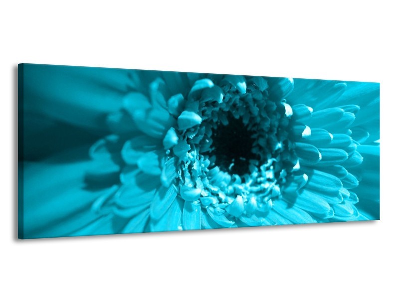Canvas schilderij Gerbera | Blauw, Zwart, Wit | 145x58cm 1Luik
