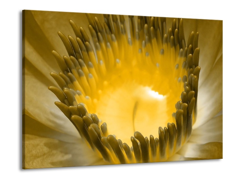Canvas schilderij Macro | Geel, Grijs | 100x70cm 1Luik
