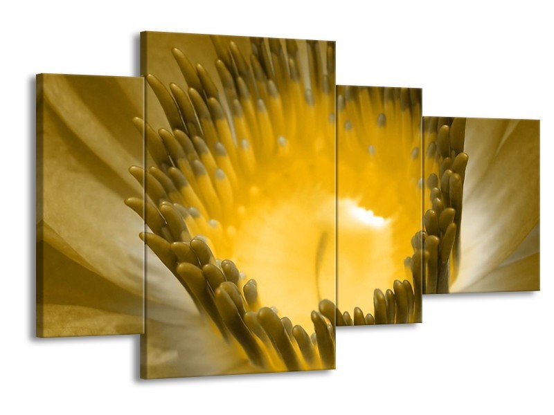 Canvas schilderij Macro | Geel, Grijs | 120x75cm 4Luik